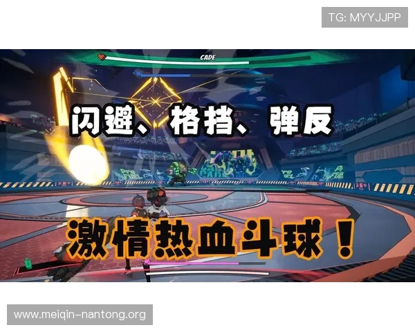 斗球电脑版官方下载最新版本，稳定流畅体验高清画质尽在掌握