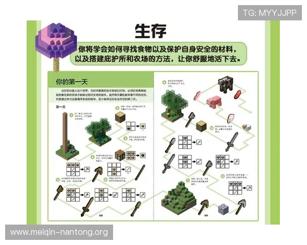 苹果手机用户下载安装斗球苹果版本的详细指南，确保游戏顺畅体验的完整流程